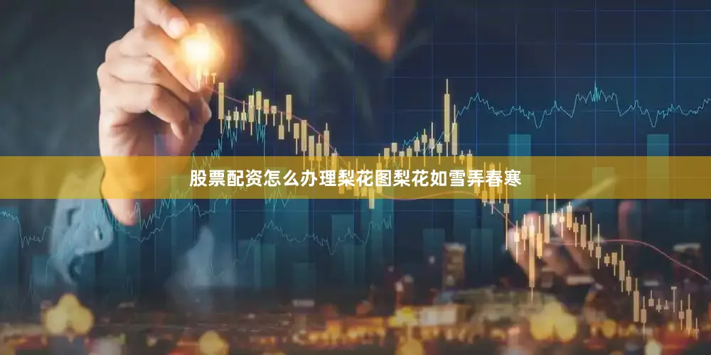 股票配资怎么办理梨花图梨花如雪弄春寒