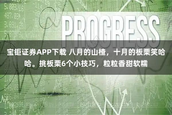 宝钜证券APP下载 八月的山楂,十月的板栗笑哈哈。挑板栗6个小技巧,粒粒香甜软糯